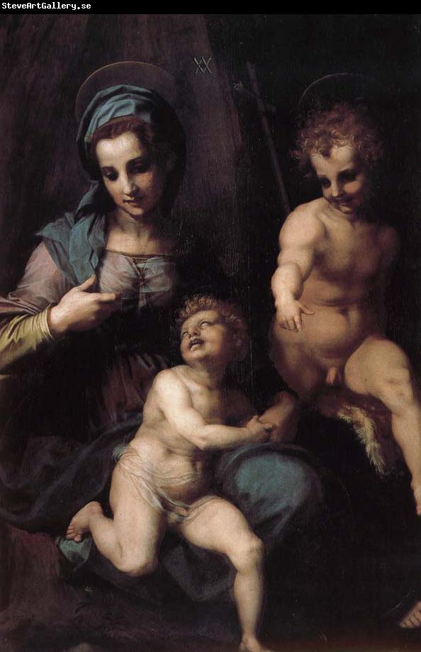 Andrea del Sarto The Virgin and Child with St. John childhood